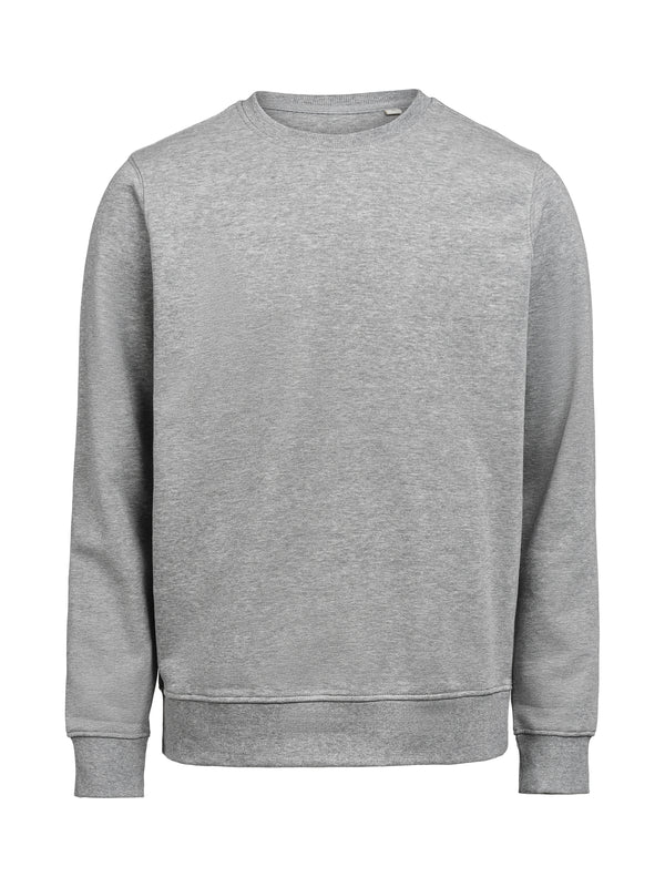 UM Crewneck Regular Fit